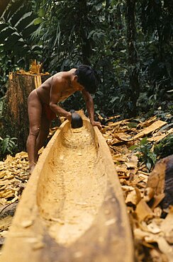 COLOMBIA Choco Embera Indigenous People Embera man using axe or adze .  to hollow out dug out canoe from large felled hardwood tree.Once completed canoe is dragged through forest to riverside home where final shaping takes place Pacific coastal region boat canoa tribe American Colombian Colombia Hispanic Indegent Latin America Latino Male Men Guy South America  Pacific coastal region boat piragua  tribe American Colombian Columbia Hispanic Indegent Latin America Latino Male Men Guy South America Male Man Guy One individual Solo Lone Solitary 1 Single unitary