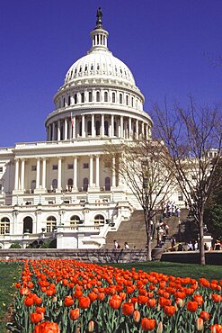 USA  Washington DC The Capitol Building  Capitol Hill