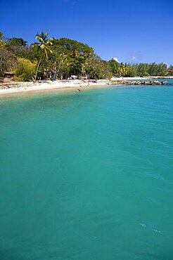 Pigeon Island National Historic Park Tourists on the beach lined with coconut palm trees, Gros Islet, St Lucia