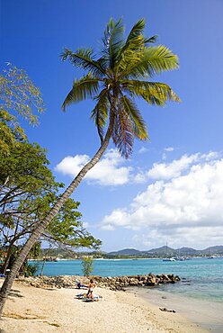 Pigeon Island National Historic Park Tourists on the beach lined with coconut palm trees and Rodney Bay beyond, Gros Islet, St Lucia