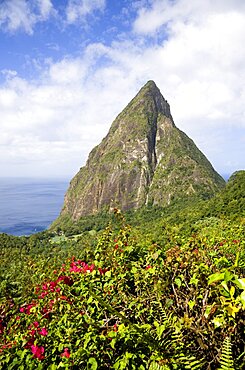 Val des Pitons The volcanic plug of Petit Piton and the lush valley seen from the sun deck of the Ladera Spa Resort Hotel, Soufriere, St Lucia