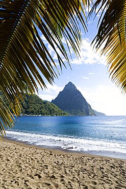 Soufriere Beach lined with coconut palm trees with the town and the volcanic plug mountain of Petit Piton beyond, Soufriere, St Lucia