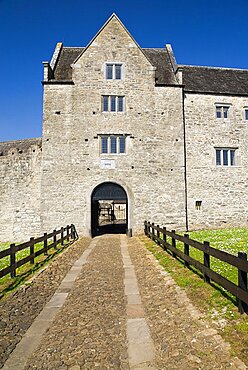 A section of the facade and the main entrance, Ireland, Eire