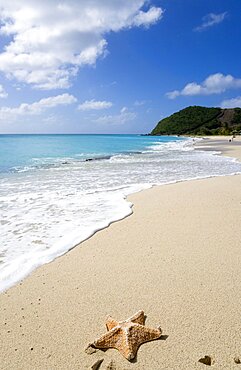 South Glossy Beach in Glossy Bay with a starfish on the sand and waves breaking on the shoreline of the turqoise sea, Windward Islands, West Indies, Caribbean, Central America