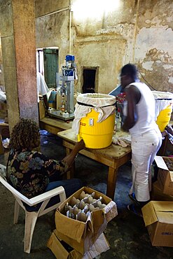 Female workers hand bottling the rum at the River Antoine distillery, Caribbean