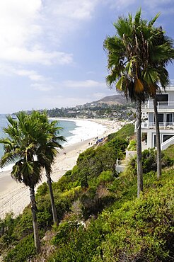 Cliffs & beach view Laguna Beach, United States of America