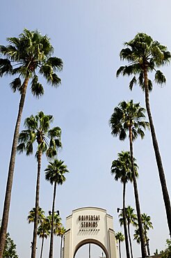 Palms & entrance to Universal Studios, Valley & Pasadena, United States of America