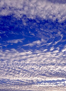 Climate, Weather, Cloud Formations, Alto Cumulus or Mackerel sky pattern