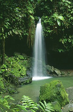 WEST INDIES St Lucia Trois Pitons National Park The Emerald Pool waterfall entering rainforest surrounded pool