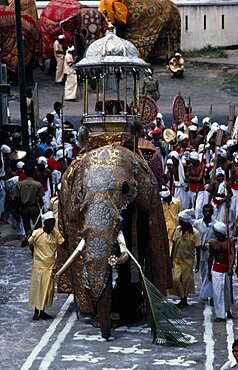 SRI LANKA  Kandy The Esala Perahera honouring the sacred Buddhist tooth relic of Kandy.  The Maligawa Tusker elephant carries a replica of the golden  relic casket. Perahera means procession.