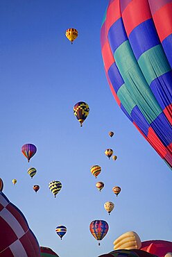 Annual balloon fiesta Colourful hot air balloons, Albuquerque, New Mexico, United States of America