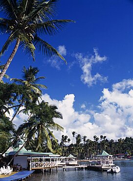 WEST INDIES St Lucia Marigot Bay View over water with overhanging palm trees beside Marigot Bay Beach Club.