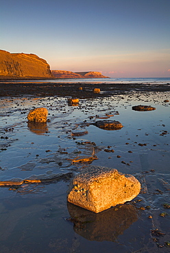 Golden chunks of Purbeck stone on the ledges at Kimmeridge, Jurassic Coast, UNESCO World Heritage Site, Dorset, England, United Kingdom, Europe