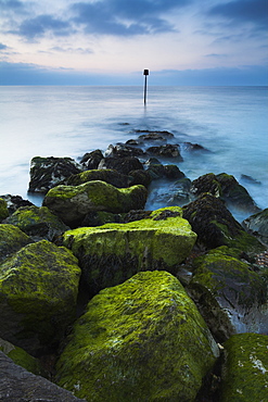 An algae-clad stone groyne at Mudeford, Dorset, England, United Kingdom, Europe