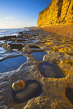 The golden coloured cliffs and ledges of Burton Bradstock, Jurassic Coast, UNESCO World Heritage Site, Dorset, England, United Kingdom, Europe