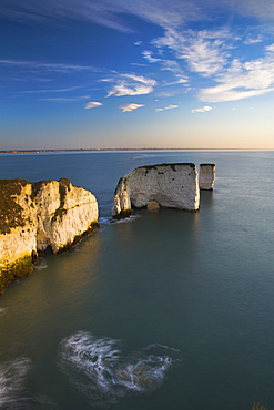 Morning sunshine lights up the white chalk cliffs at Old Harry, Jurassic Coast, UNESCO World Heritage Site, Dorset, England, United Kingdom, Europe