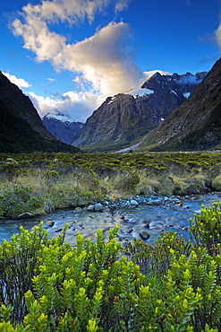 Valley in Fiordland National Park, UNESCO World Heritage Site, South Island, New Zealand, Pacific