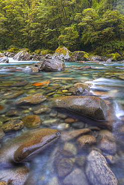 Crystal clear rocky river in Fiordland National Park, UNESCO World Heritage Site, South Island, New Zealand, Pacific