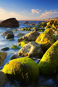 The rocky shore of West Weares on Portland, looking towards Chesil Beach, Jurassic Coast, UNESCO World Heritage Site, Dorset, England, United Kingdom, Europe