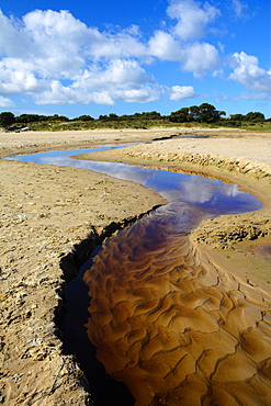 Small stream winding through the beach to the sea, Studland Bay, Dorset, England, United Kingdom, Europe