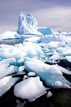 Icebergs close to shore in Paradise Harbour, Antarctic Peninsula, Antarctica, Polar Regions