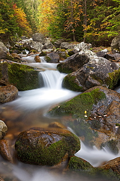 Rocky mountain stream through autumn woodland, Tatra Mountains, Slovakia, Europe