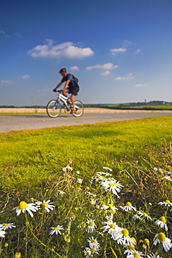 Lone cyclist rides along an off-road track, Horton, Dorset, England, United Kingdom, Europe