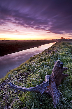 Frosty dawn beside the River Brue near Glastonbury, Somerset Levels, Somerset, England, United Kingdom, Europe