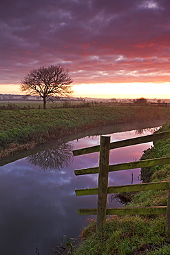 Somerset Levels sunrise over the River Brue near Glastonbury, Somerset, England, United Kingdom, Europe