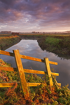 River Brue meandering through the Somerset Levels near Glastonbury, Somerset, England, United Kingdom, Europe