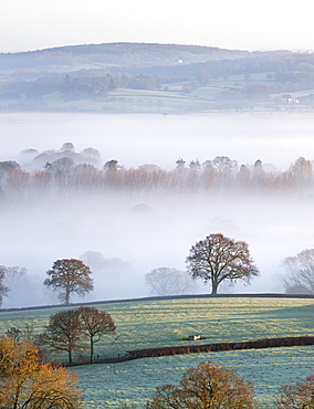 Mist covered countryside in the Exe Valley just north of Exeter, Devon, England, United Kingdom, Europe