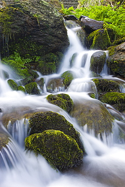 Cascading stream over moss covered boulders, Exmoor National Park, Devon, England, United Kingdom, Europe