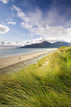 Person walking alone along Dundrum Bay, County Down, Northern Ireland, United Kingdom, Europe