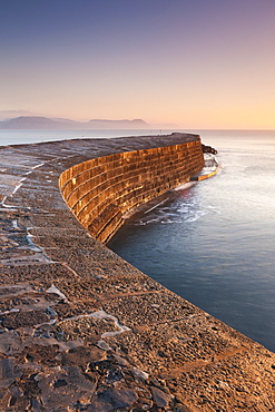 The historical Cobb stone harbour wall at Lyme Regis, Dorset, England, United Kingdom, Europe