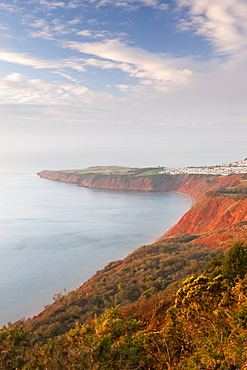 Looking towards Littleham Cove and Straight Point from West Down Beacon, Jurrasic Coast, UNESCO World Heritage Site, Devon, England, United Kingdom, Europe