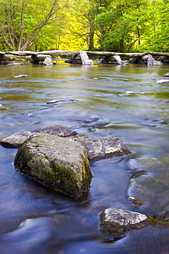 The ancient clapper bridge, Tarr Steps crossing the River Barle in Exmoor National Park, Somerset, England, United Kingdom, Europe