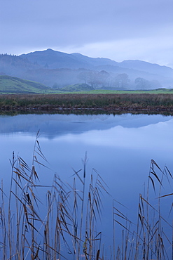 Misty morning beside the River Brathay, Lake District, Cumbria, England, United Kingdom, Europe