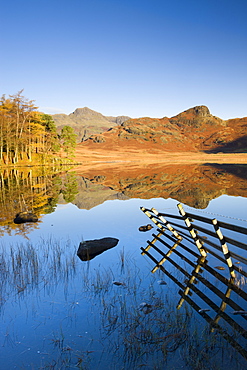 Mirror like reflections at Blea Tarn, Lake District National Park, Cumbria, England, United Kingdom, Europe