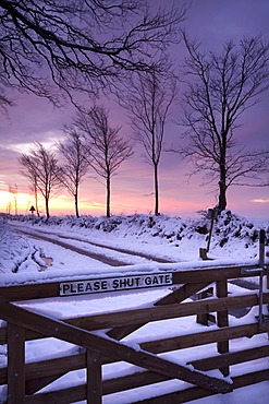 Snow covered wooden gate on a moorland road, Exmoor, Somerset, England, United Kingdom, Europe