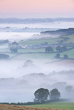 Mist covered countryside at dawn, Stockleigh Pomeroy, Devon, England, United Kingdom, Europe