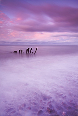 Wooden posts at high tide on Porlock Beach, Exmoor, Somerset, England, United Kingdom, Europe 