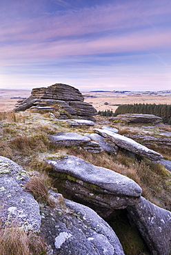 Frosty morning at Bellever Tor, Dartmoor National Park, Devon, England, United Kingdom, Europe 