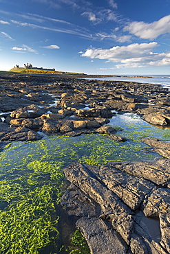 Wide open spaces at Dunstanburgh Castle, Northumberland, England, United Kingdom, Europe 