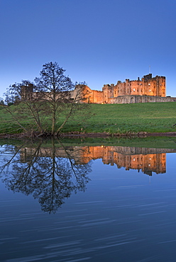 Alnwick Castle reflected in the River Aln at twilight, Northumberland, England, United Kingdom, Europe 