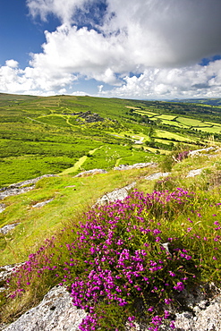 Overlooking Bonehill Rocks from Bell Tor, Dartmoor National Park, Devon, England, United Kingdom, Europe 