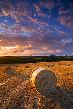 Circular hay bales in field, Morchard Bishop, Mid Devon, England, United Kingdom, Europe 