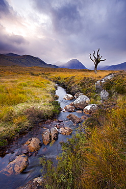 Stream running through Rannoch Moor wilderness, Highlands, Scotland, United Kingdom, Europe