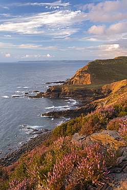 Little Barton Strand from Pencannow Point, Crackington Haven, Cornwall, England, United Kingdom, Europe 