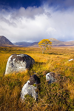 Autumn scenery on Rannoch Moor, Highlands, Scotland, United Kingdom, Europe