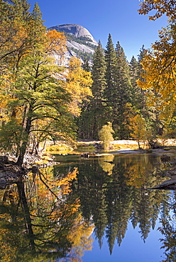 Autumnal foliage on the shores of the Merced River in Yosemite Valley, California, United States of America, North America